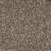 STAINMASTER Beatitude 12-ft W Oriental Bazaar Carpet - 1 Linear Foot