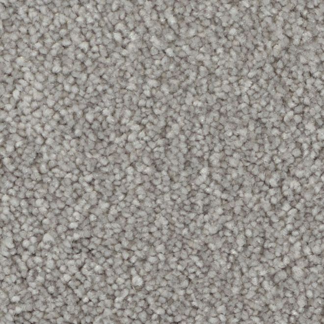 STAINMASTER Beatitude 12-ft W Modern Art Carpet - 1 Linear Foot