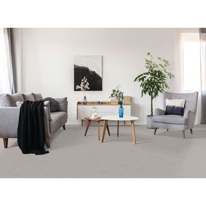 STAINMASTER Beatitude 12-ft W Modern Art Carpet - 1 Linear Foot