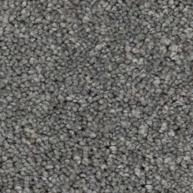 STAINMASTER Beatitude 12-ft W Boundless Grey Carpet - 1 Linear Foot