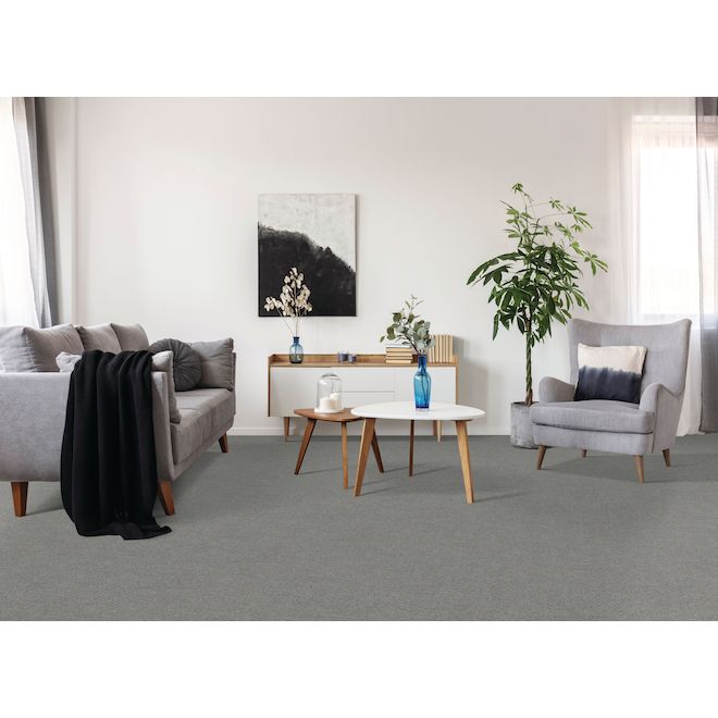 STAINMASTER Beatitude 12-ft W Boundless Grey Carpet - 1 Linear Foot