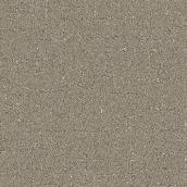 STAINMASTER Animal Kingdom 12-ft W Quiet Nature Carpet - 1 Linear Foot