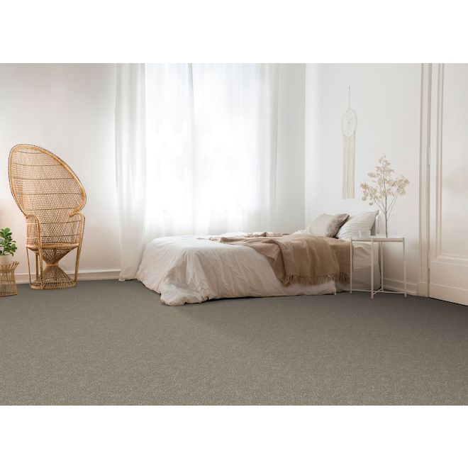 Tapis Family Member 12 pi de largeur par STAINMASTER, couleur nature paisible (1 pied linéaire)