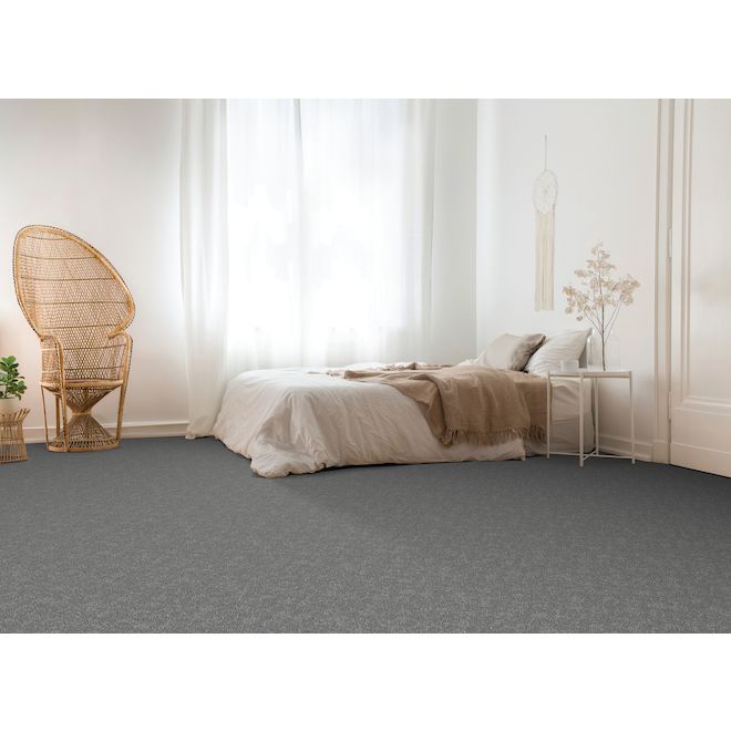 STAINMASTER Family Member 12-ft W Obscured Sky Carpet - 1 Linear Foot
