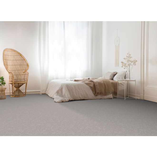 STAINMASTER Family Member 12-ft W Peppery Taste Carpet - 1 Linear Foot