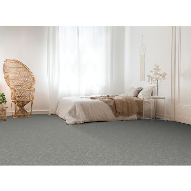 Tapis Family Member 12 pi de largeur par STAINMASTER, couleur ondes positives (1 pied linéaire)