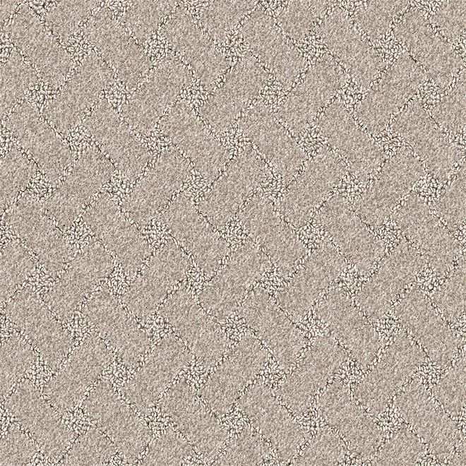 STAINMASTER Strong Bond 12-ft W Coastal Landscape Carpet - 1 Linear Foot