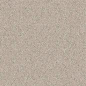 STAINMASTER Strong Bond 12-ft W Coastal Landscape Carpet - 1 Linear Foot