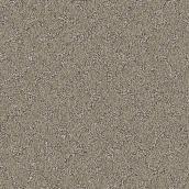 STAINMASTER Strong Bond 12-ft W Quiet Nature Carpet - 1 Linear Foot