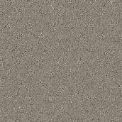 STAINMASTER Strong Bond 12-ft W Journey Softly Carpet - 1 Linear Foot