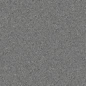 STAINMASTER Strong Bond 12-ft W Obscured Sky Carpet - 1 Linear Foot