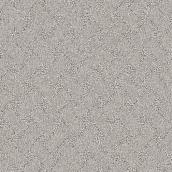 STAINMASTER Strong Bond 12-ft W Peppery Taste Carpet - 1 Linear Foot