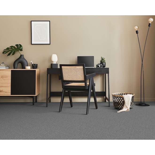 STAINMASTER Noble Friend 12-ft W Urban Experience Carpet - 1 Linear Foot