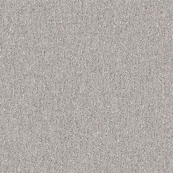 STAINMASTER Noble Friend 12-ft W Peppery Taste Carpet - 1 Linear Foot