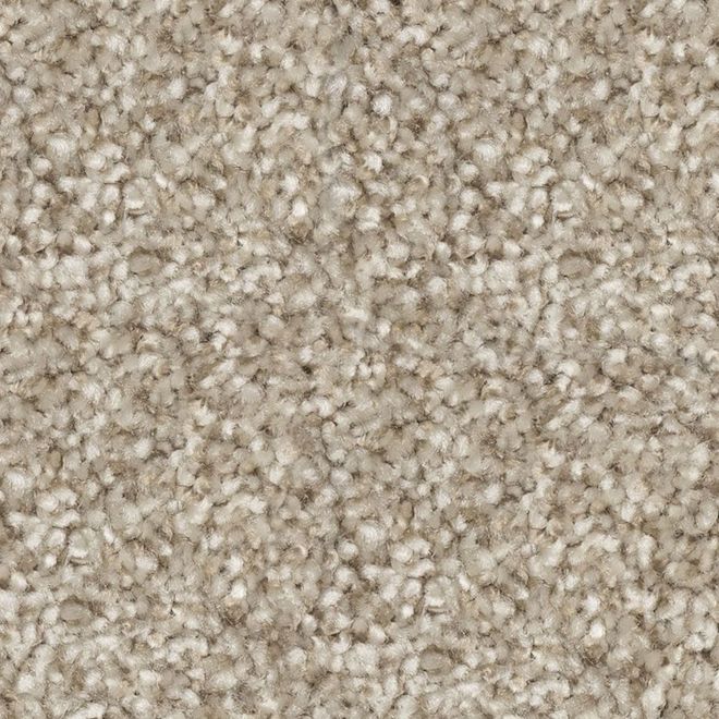 STAINMASTER Sincere Affection 12-ft W Restful Atmosphere Carpet - 1 Linear Foot