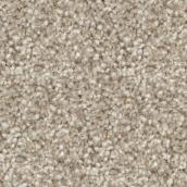 STAINMASTER Sincere Affection 12-ft W Restful Atmosphere Carpet - 1 Linear Foot