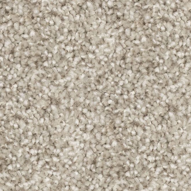 STAINMASTER Sincere Affection 12-ft W Turbulence Carpet - 1 Linear Foot