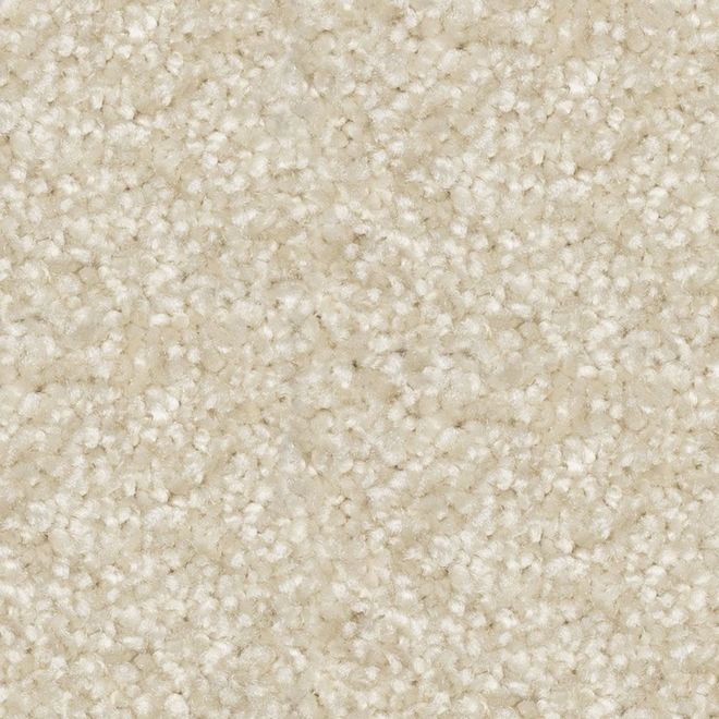 STAINMASTER Sincere Affection 12-ft W Infinite Desert Carpet - 1 Linear Foot