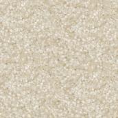 STAINMASTER Sincere Affection 12-ft W Infinite Desert Carpet - 1 Linear Foot