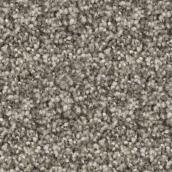 STAINMASTER Sincere Affection 12-ft W Castle Doorway Carpet - 1 Linear Foot