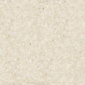 STAINMASTER Loving Presence 12-ft W Isle Of Silence Carpet - 1 Linear Foot