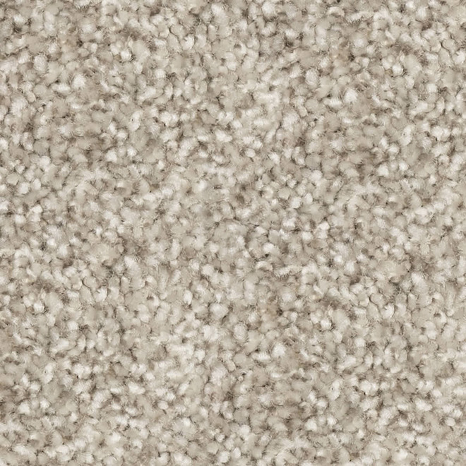 STAINMASTER Loving Presence 12-ft W Turbulence Carpet - 1 Linear Foot