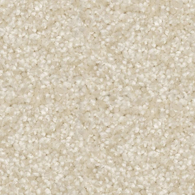 STAINMASTER Loving Presence 12-ft W Infinite Desert Carpet - 1 Linear Foot