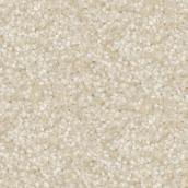 STAINMASTER Loving Presence 12-ft W Infinite Desert Carpet - 1 Linear Foot