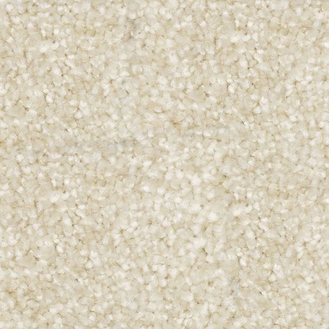 STAINMASTER Loyal Soul 12-ft W Creamy White Carpet - 1 Linear Foot