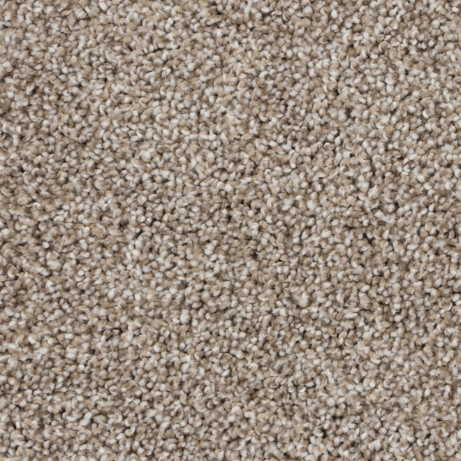 Julia Indoor Carpet - 12-ft - Romance