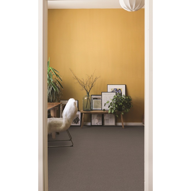 Beaulieu Canada Mateo Carpet in Tufted Synthetic Fibres 12-ft - Eskimo