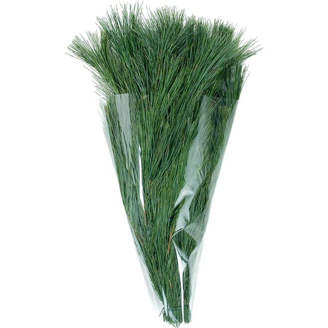 Green Plus Nurseries Pine Boughs - 2 lb Bunch