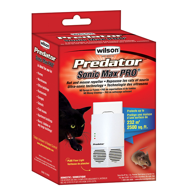 Get Rid of Rodents In a Flash with Wilson's Fast Rat Trap