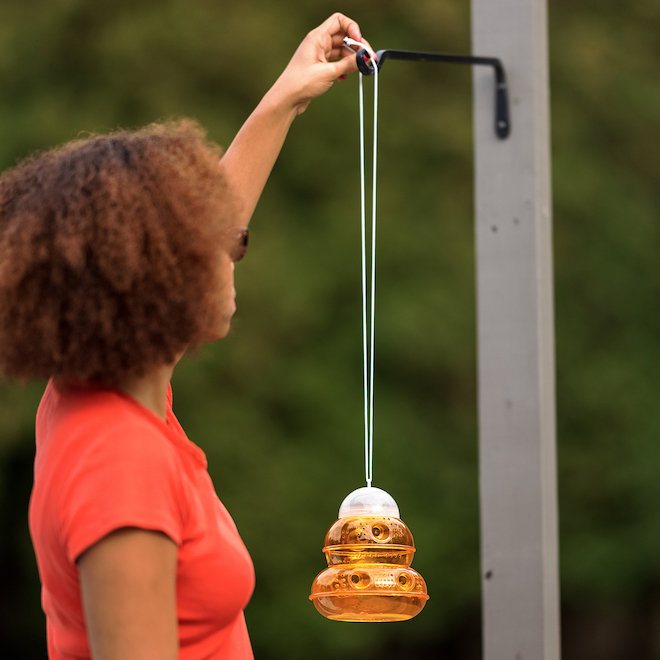 Wilson Wasp Out Plastic Non toxic Presticide-Free Wasp Trap