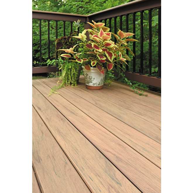 TIMBERTECH PRO TimberTech Legacy Pecan 16ft Grooved Decking Board