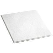 Certainteed Sky 2-ft x 2-ft x 3/4-in Ceiling Tile Panels - 14-Pack