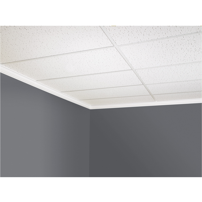 CertainTeed Grenada 2-ft x 4-ft x 1/2-in White Mineral Fibre Ceiling Tile Panels - 8/box