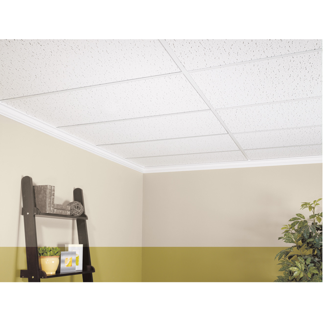 CertainTeed Grenada 2-ft x 4-ft x 1/2-in White Mineral Fibre Ceiling Tile Panels - 8/box