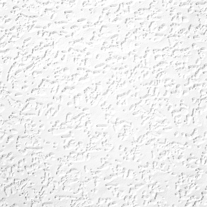 CertainTeed Ceiling Tile - Horizon - White - 2' x 4'