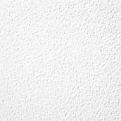 Certainteed Mirage White Textured Ceiling Tiles - 48-in x 24-in - 10-Pack