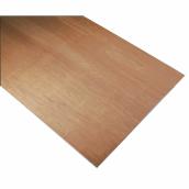 Richelieu Sanded Plywood Panel Meranti Square Unfinished 1/4-In x 4-ft W x 8-ft L
