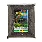 Graine de tournesol noire pour oiseaux, sac de 4 kg