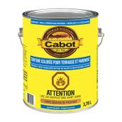 Teinture d'extérieur pour terrasse et parement