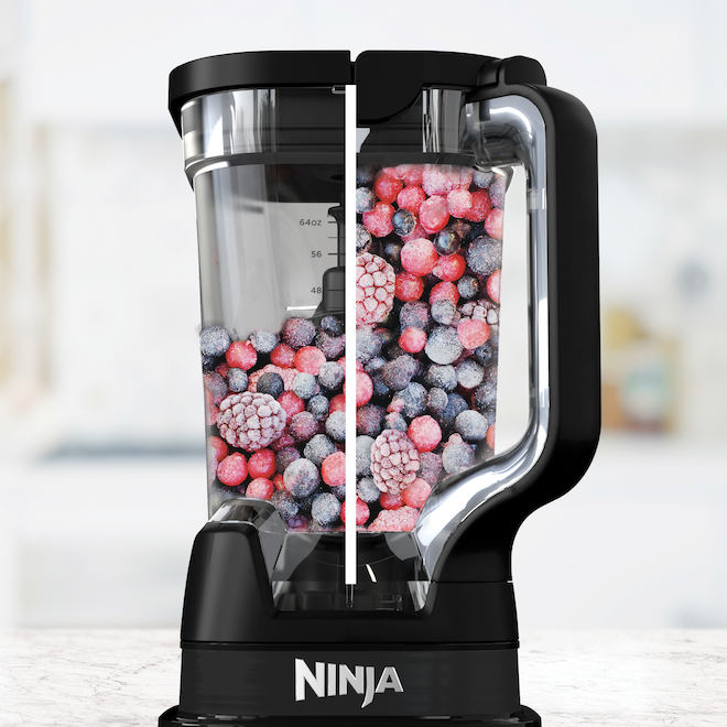 Ninja 1700 W Power Blender with 72-oz. Pitcher - Silver