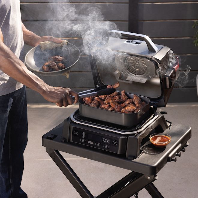 Ninja Woodfire 16 x 13 x 16-in Electric Grill Smoker Grill - Black