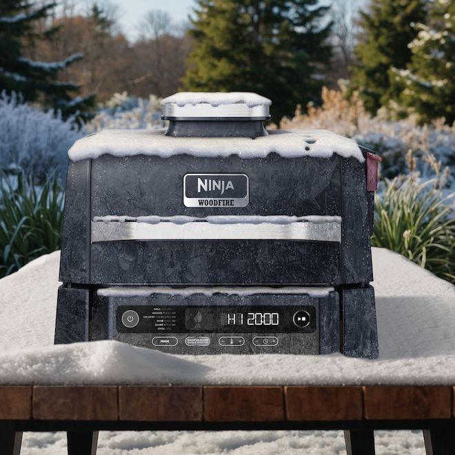 Ninja Woodfire 16 x 13 x 16-in Electric Grill Smoker Grill - Black