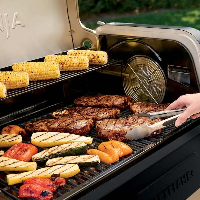 NINJA BILAL Ninja 36000 BTU Propane Gas BBQ-Smoker - Black
