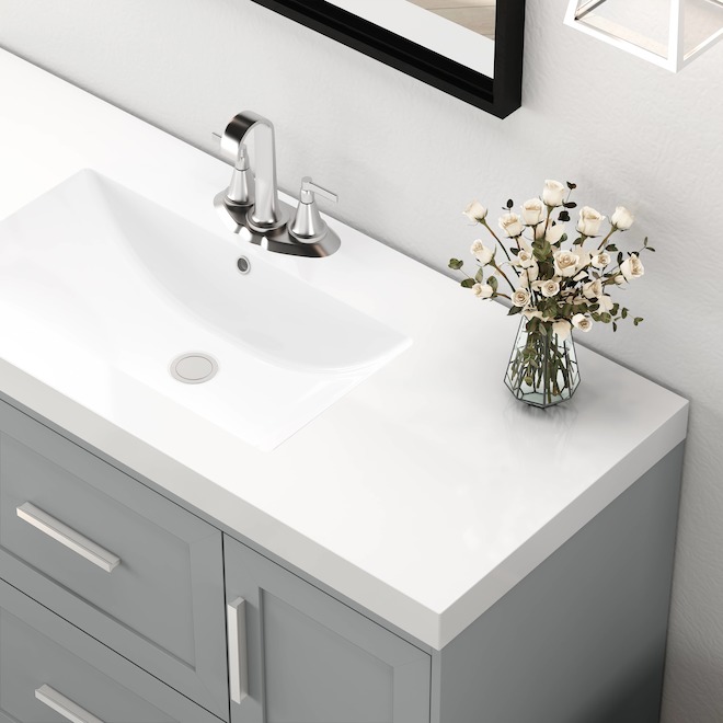 Landon & Co. Abelle 48-in Vanity Modern Style with 2 Doors and 2 Drawer - Grey