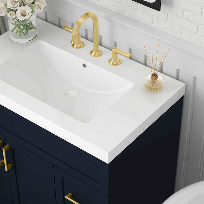 Landon & Co. Smythe 36-in Vanity Modern Style with 2 Doors and 2 Drawers - Blue