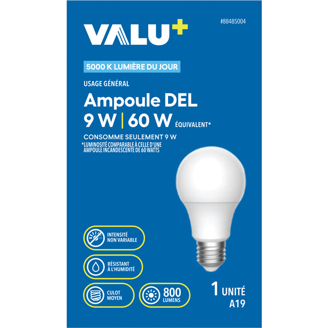 Ampoule DEL VALU+ 60 W à culot moyen, lumière du jour